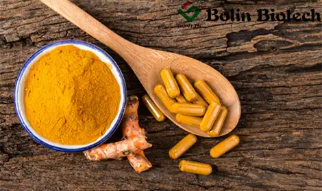 The Difference Between Natural and Chemically Synthesized Curcumin Explained